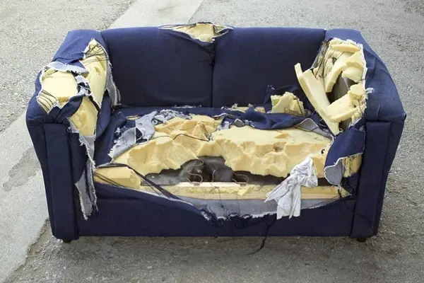 Furniture Removal